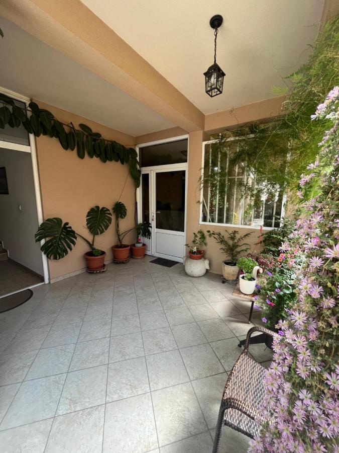 Apartmani Goran I Jelena Zec 부드바 외부 사진